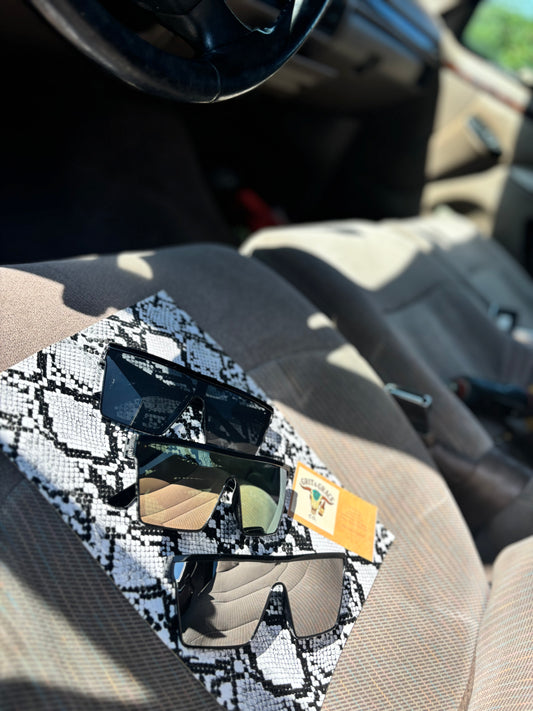 Polarized Sunglasses