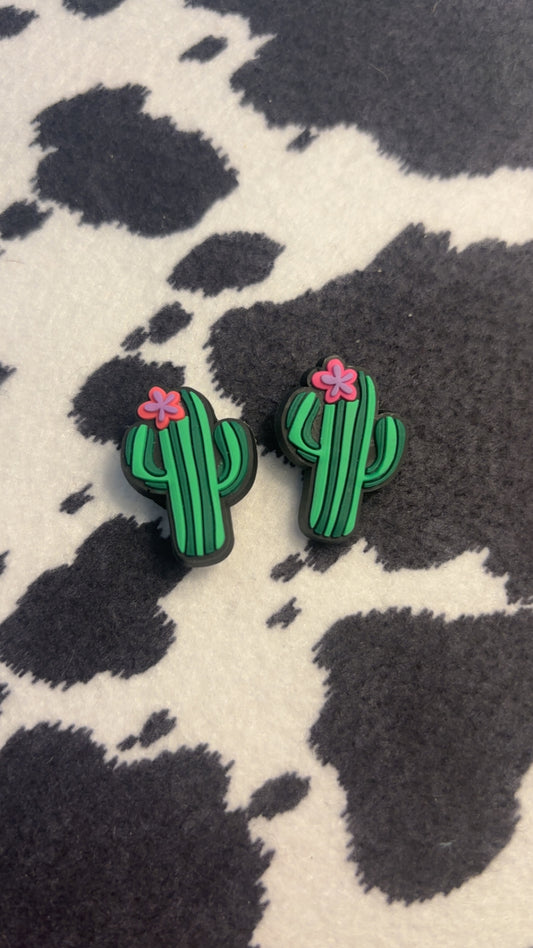 cactus charm