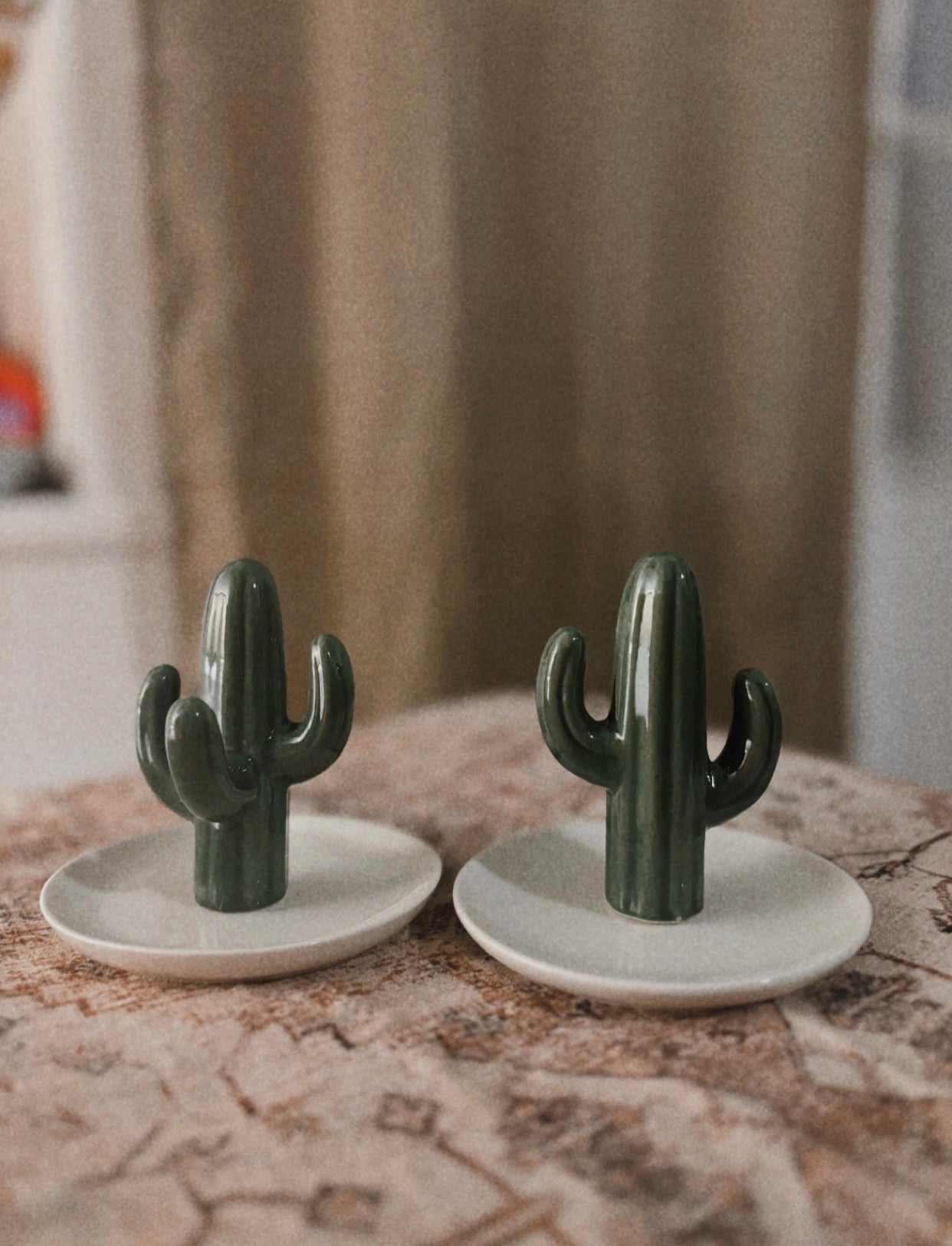 Cactus Jewelry Holder